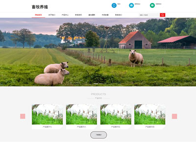 鲅鱼圈畜牧养殖牧业加工业网站制作建设搭建